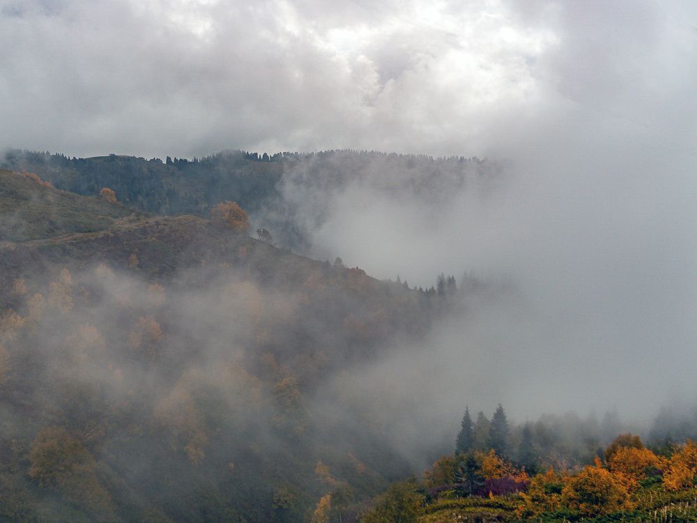 Photograph by Андрей Л