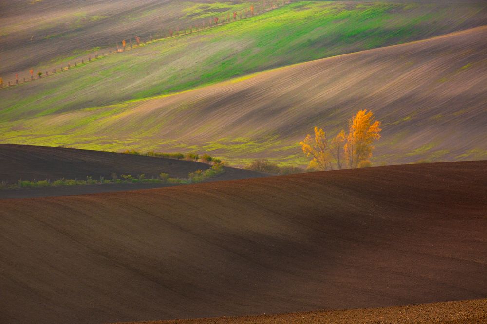 Photograph by Геннадий