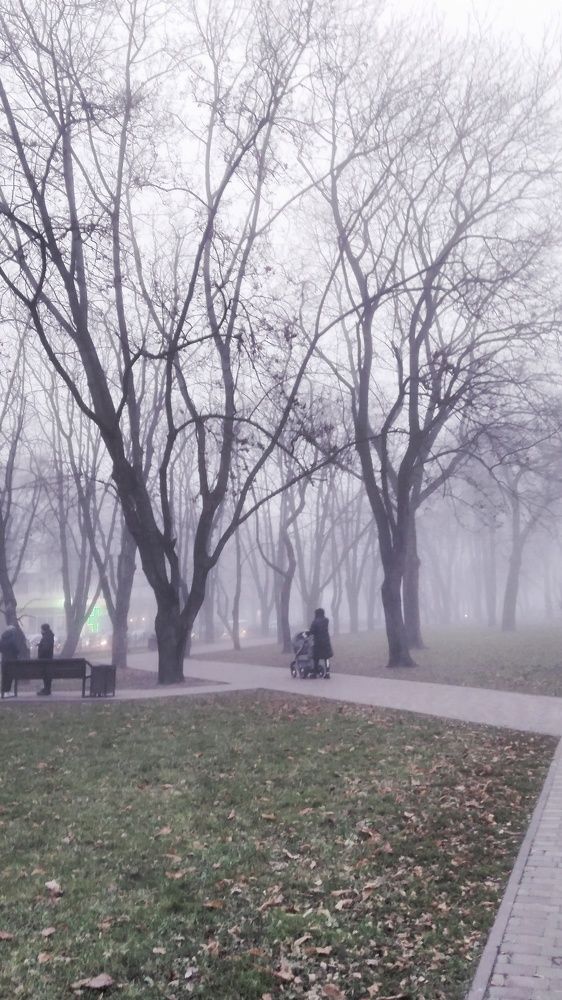 Photograph by Дарья