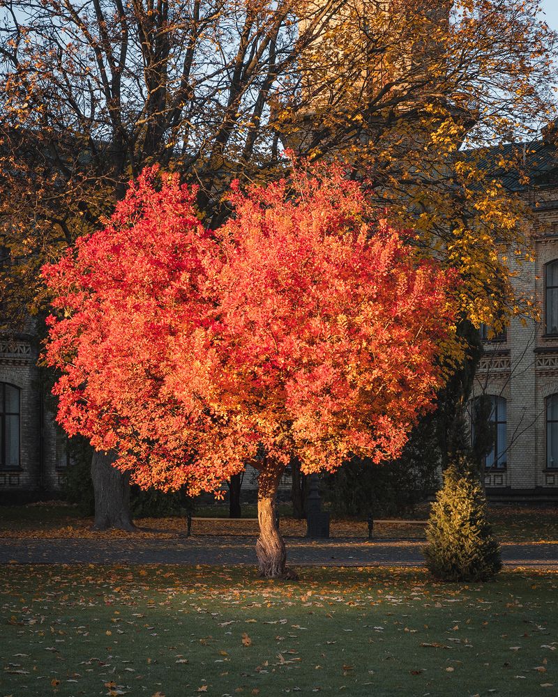 Photograph by Vladyslav Lypovyi