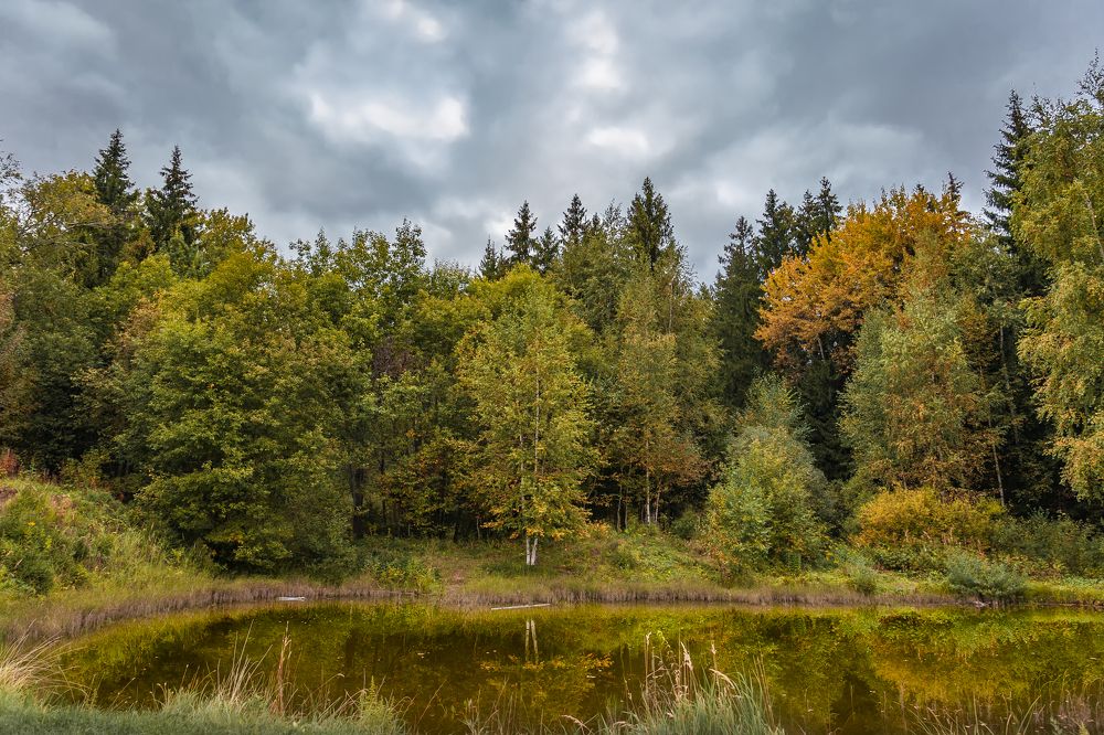 Photograph by Олег Романов