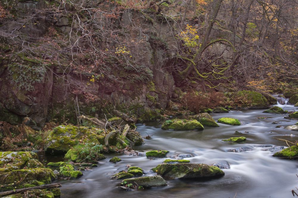 Осень в Гарце