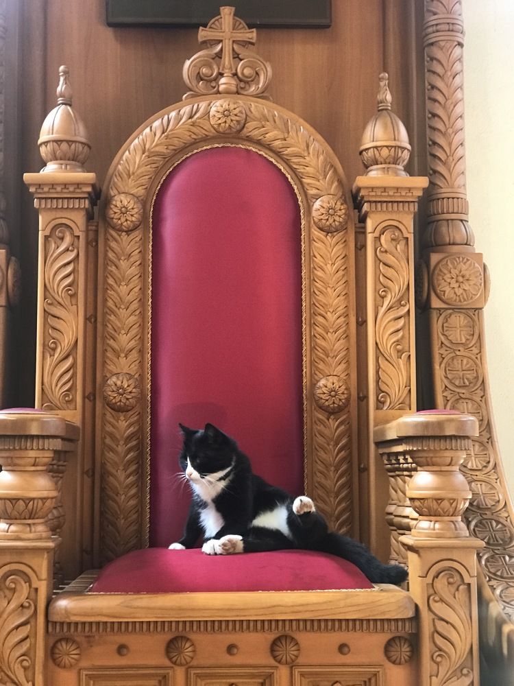 Photograph by Григорий Лыжин