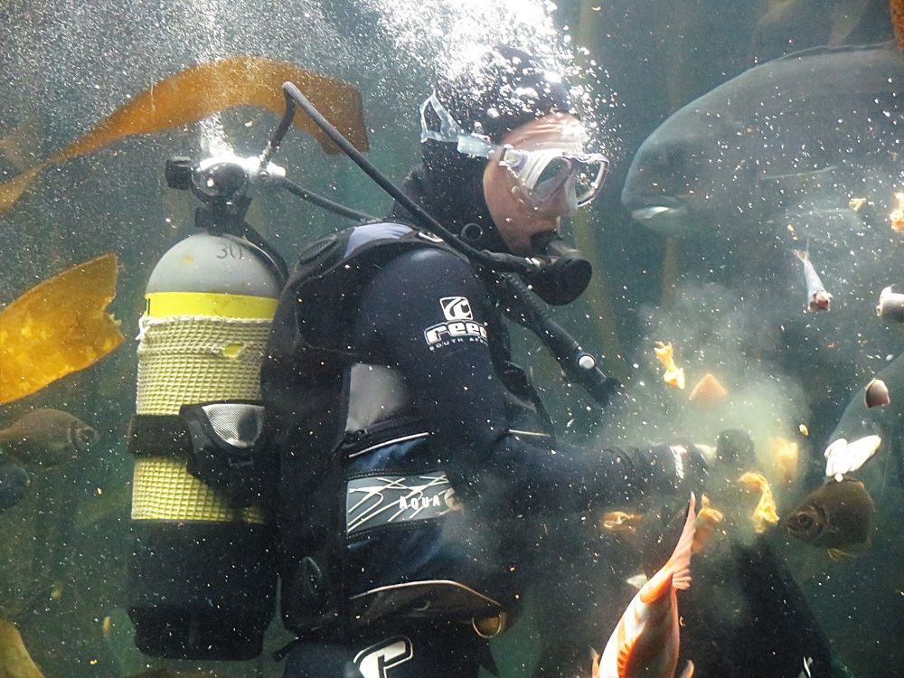 Diving in a big aquarium I