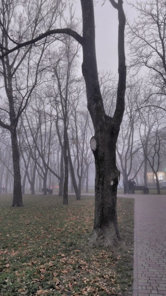 Photograph by Дарья