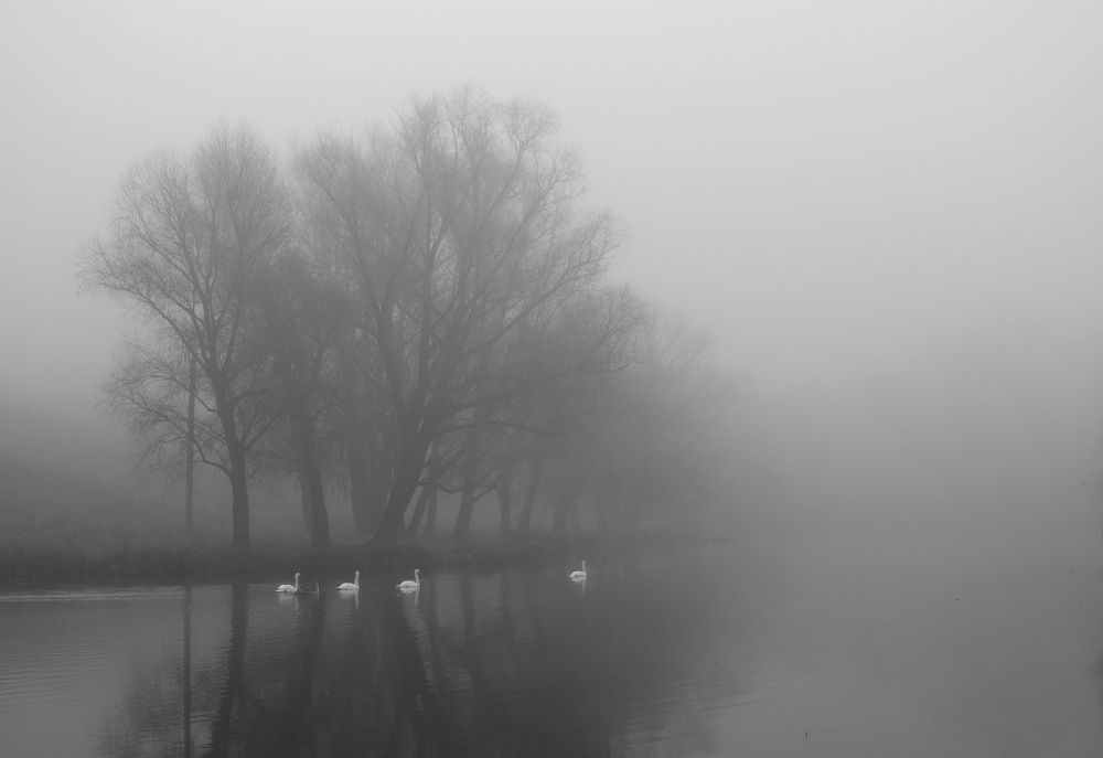 Photograph by Руслан Савченко