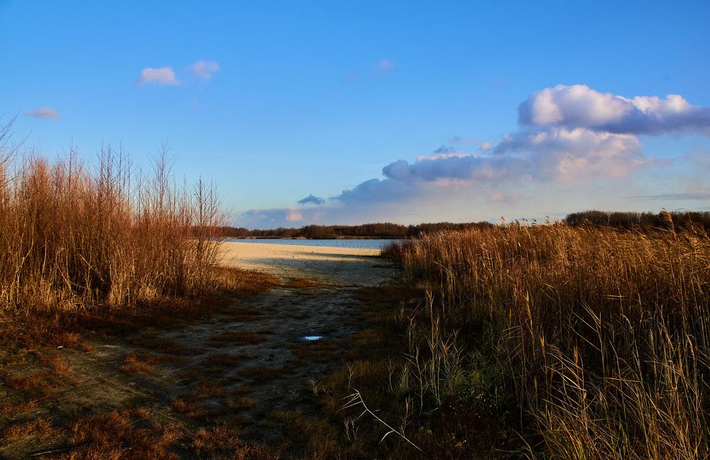 Photograph by Слава Саломатин