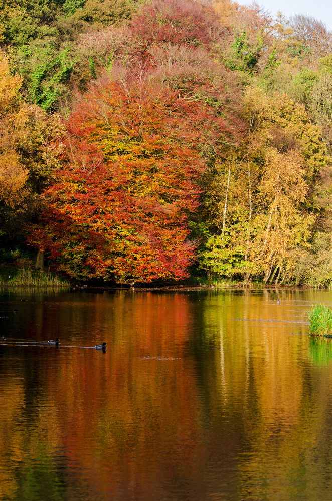 Фотография автора ZILL NIAZI