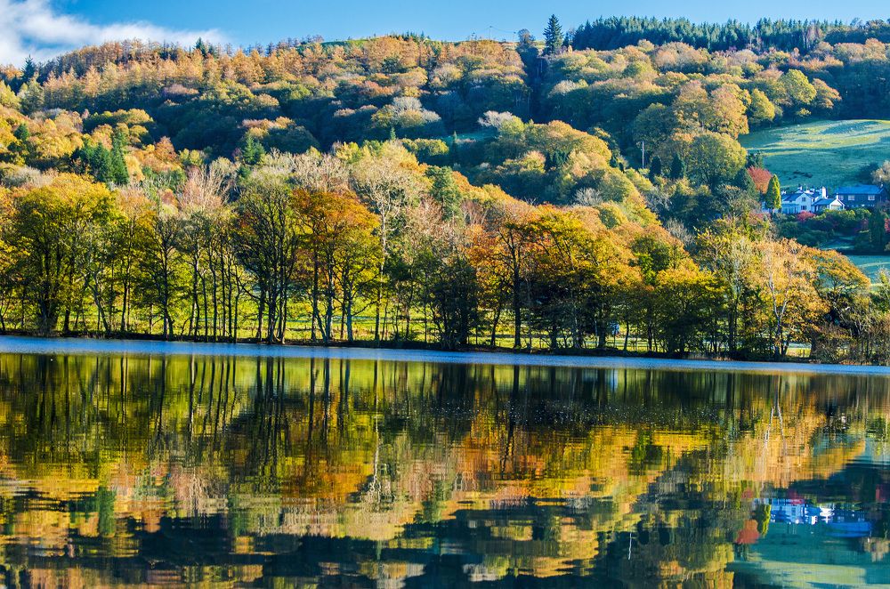 Фотография автора ZILL NIAZI