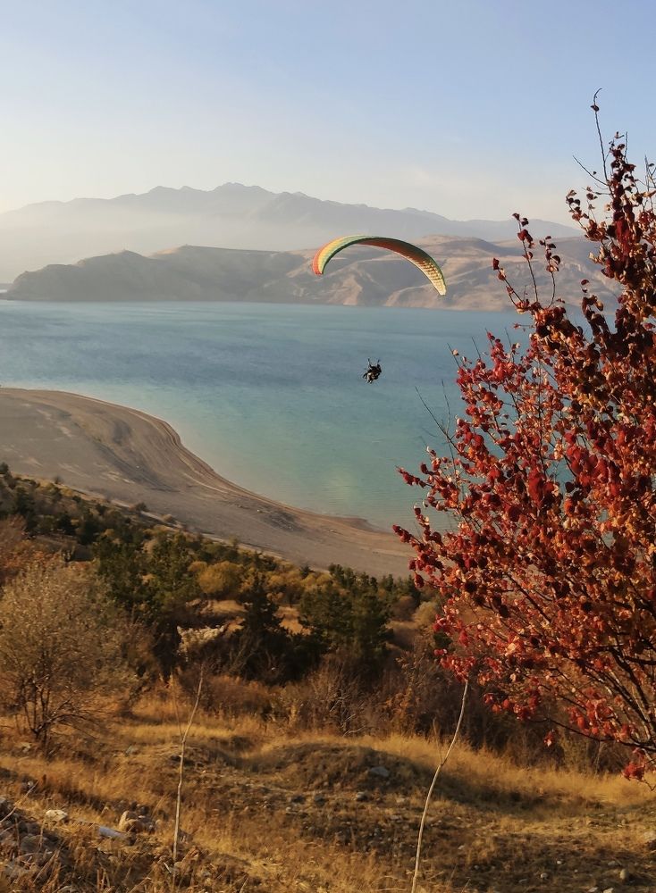 Photograph by Aleksandr Golubkov