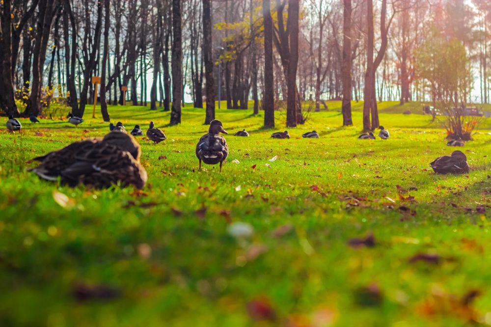 Photograph by Александр Саламатов
