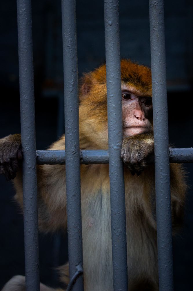 Photograph by Маргарита Таценко