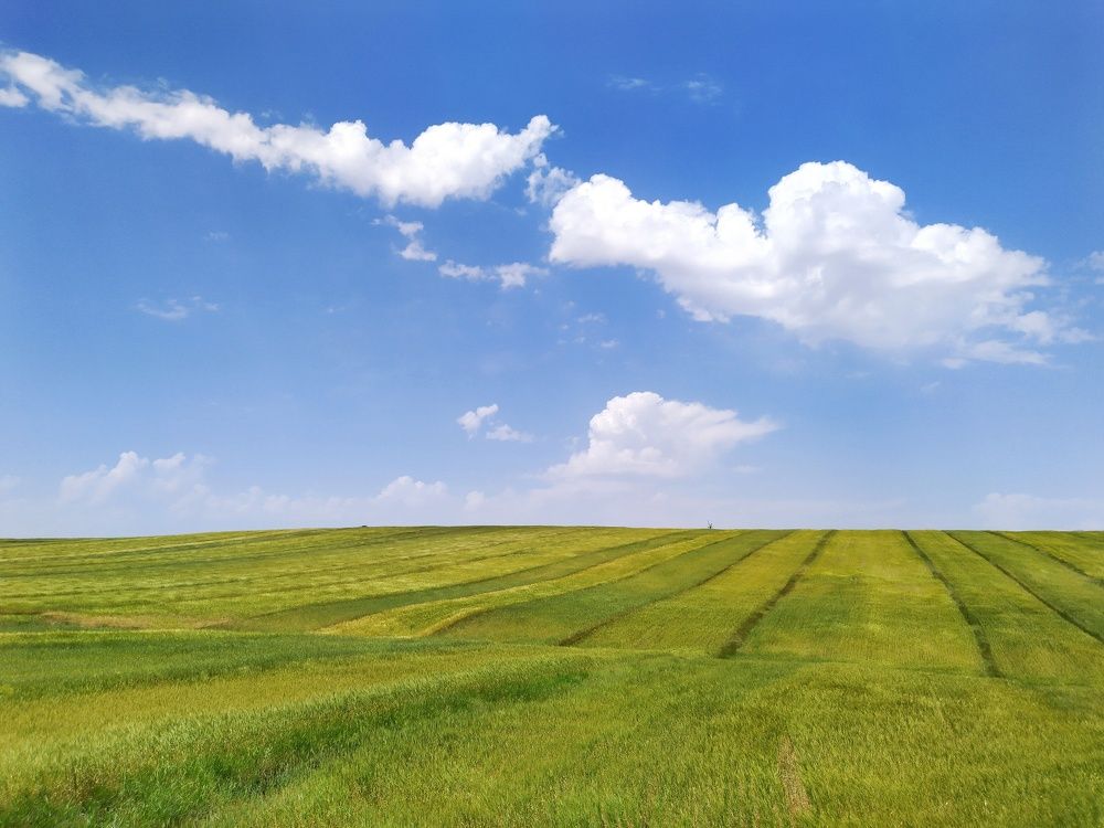 Photograph by Javad Feyz