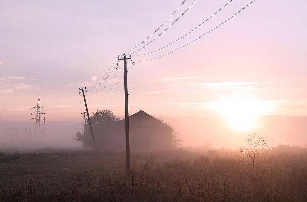 Photograph by Анастасия Галенко