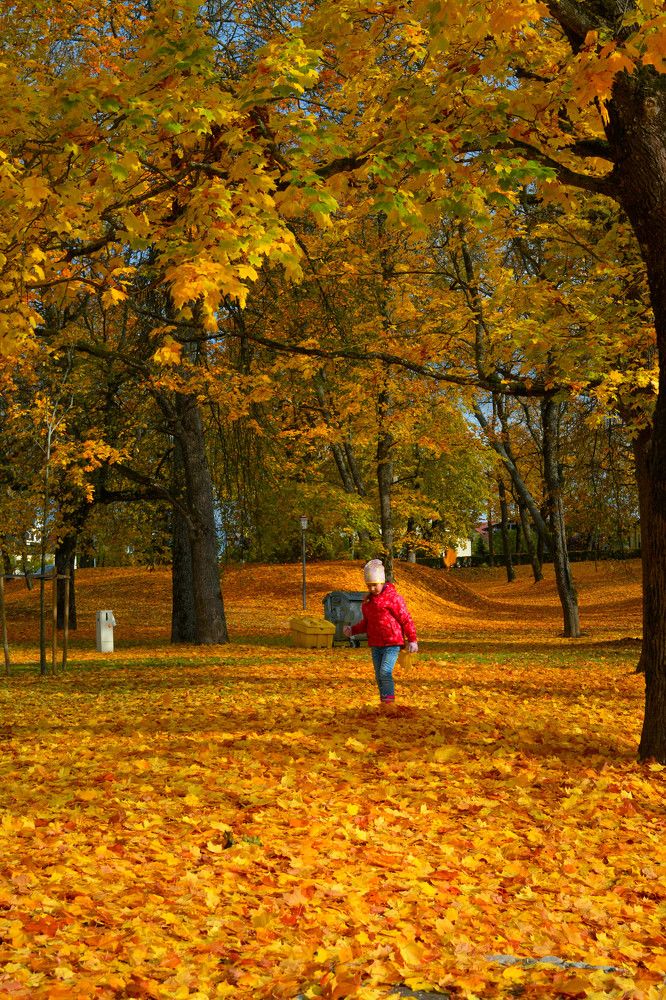 Photograph by Indra Jaunzema