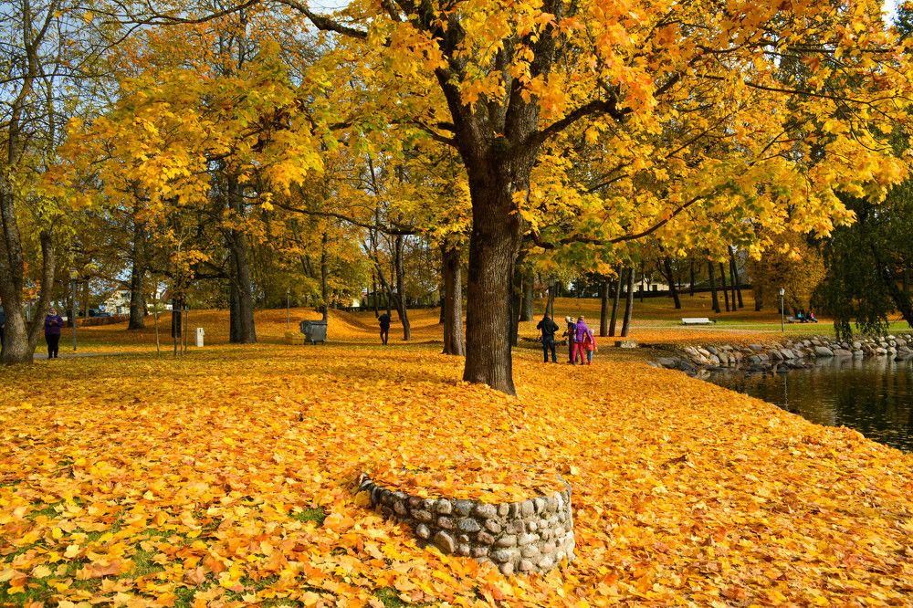 Photograph by Indra Jaunzema