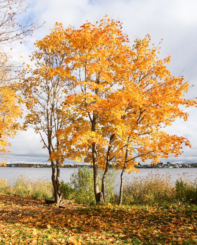 Photograph by Герман