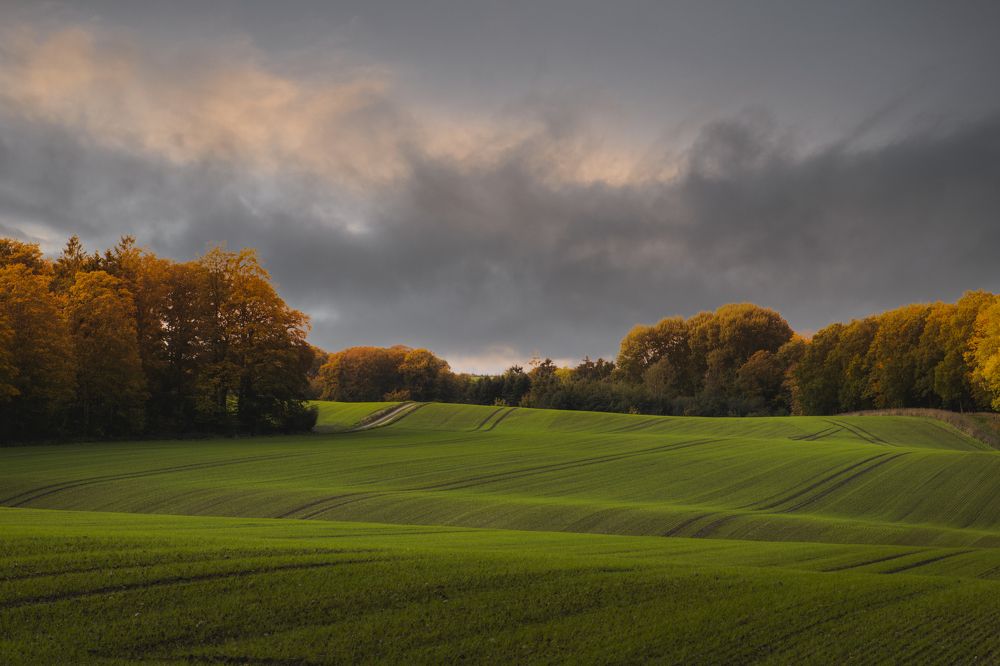 Photograph by Ernestas Balcikonis