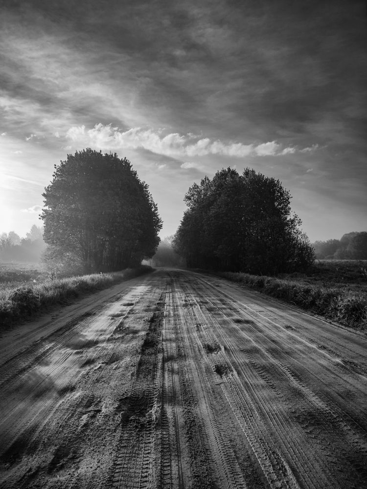 Photograph by Алёна Шматова