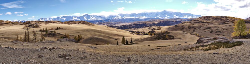 Photograph by Максим Двинин