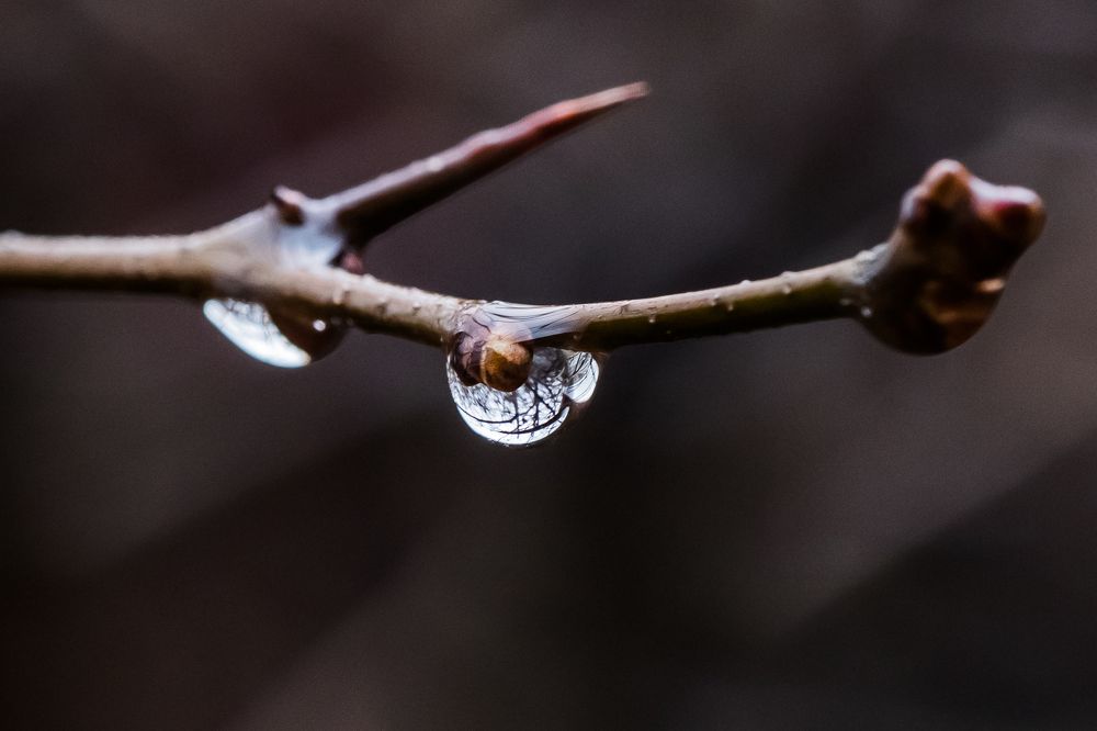 Photograph by Мария Тёмкина