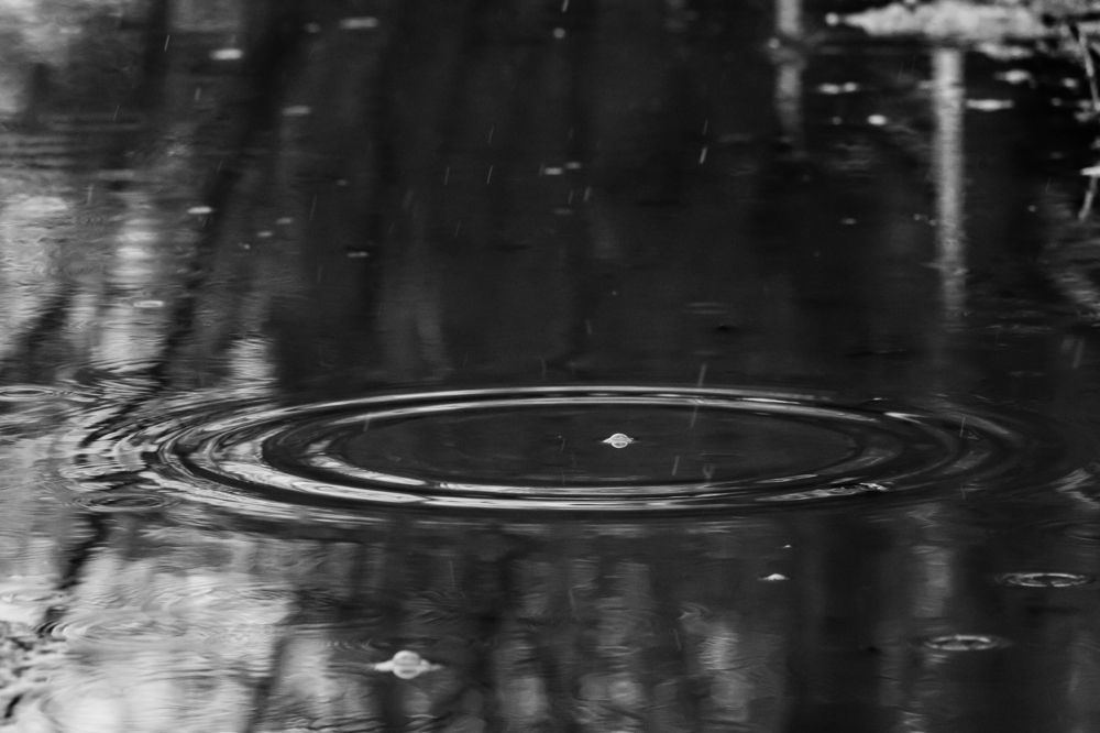 Photograph by Мария Тёмкина