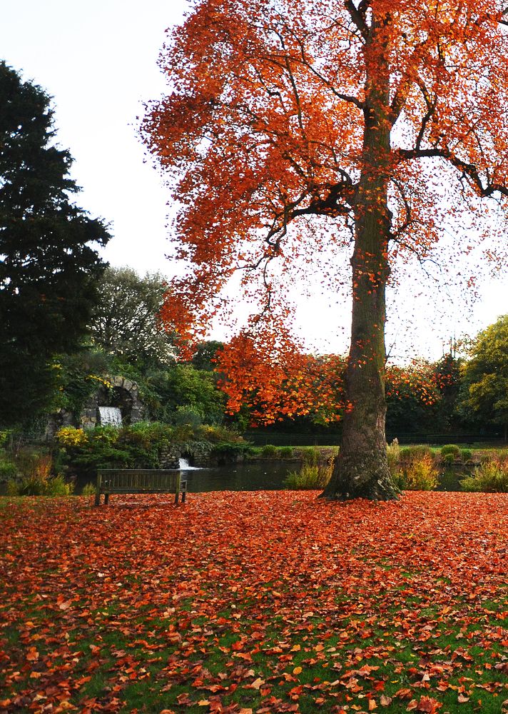 Photograph by Vinko Kalcic