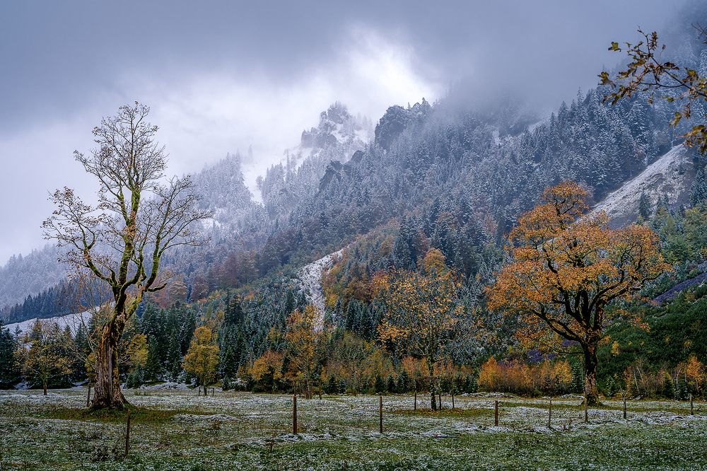 Photograph by Олег Мильбергер