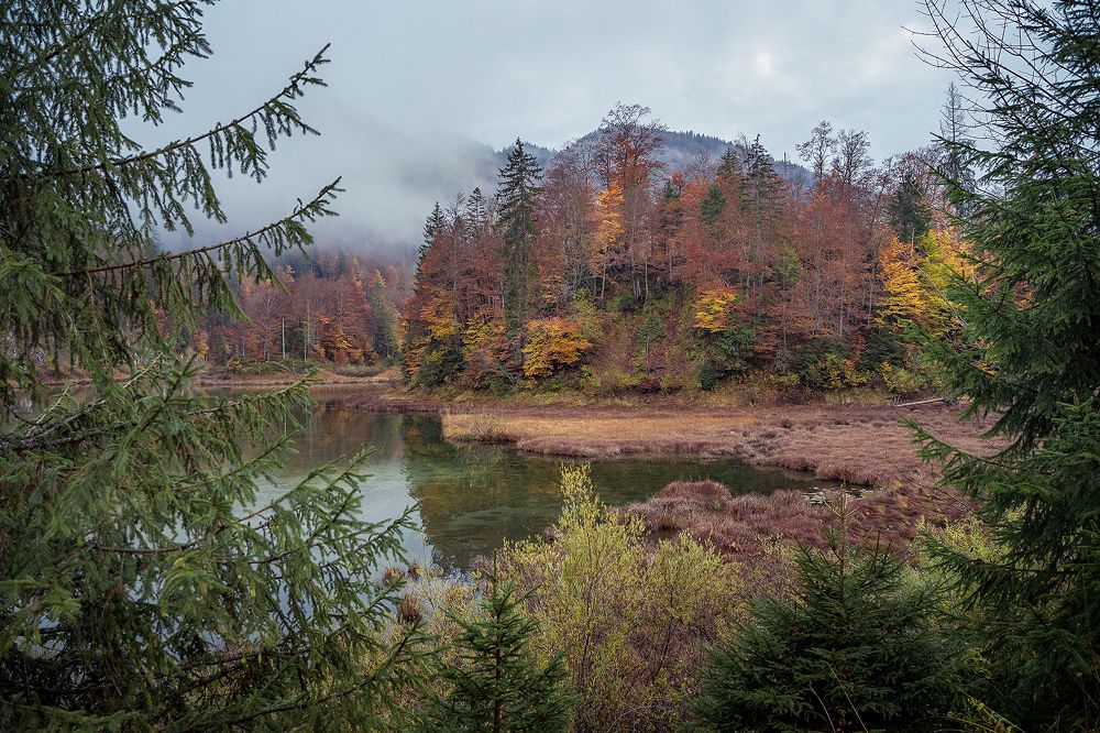 Photograph by Олег Мильбергер