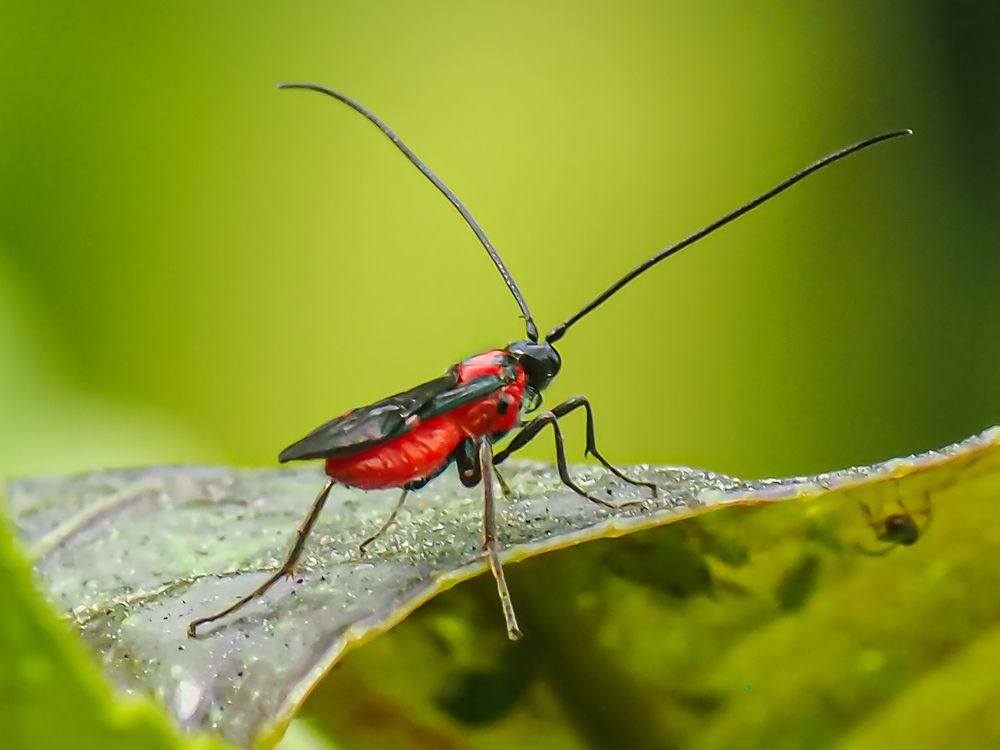 Photograph by Gotcha Biniashvili