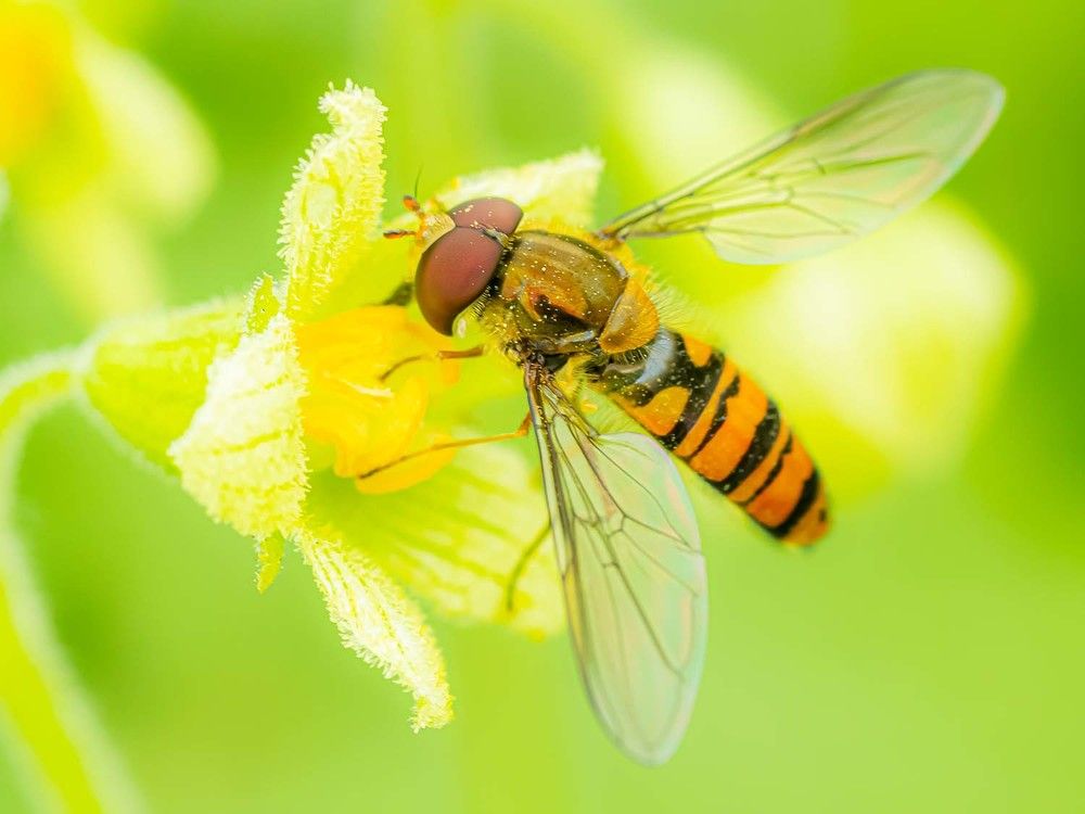 Photograph by Gotcha Biniashvili