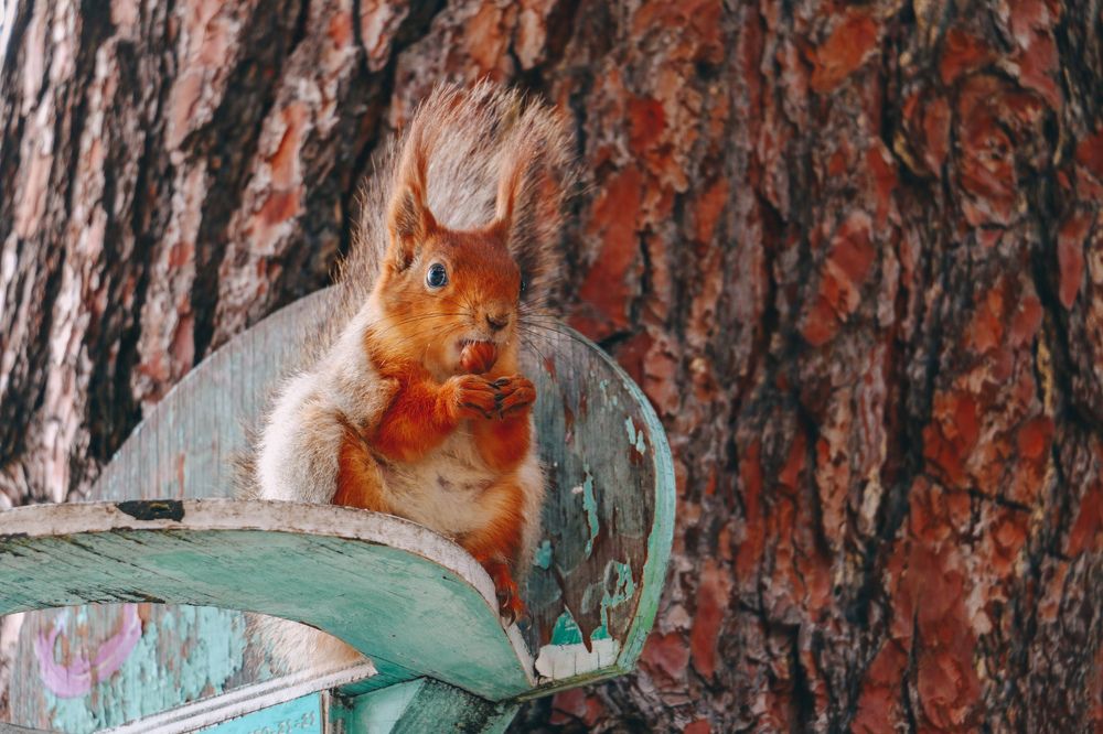 Photograph by Дарья Дырыгина