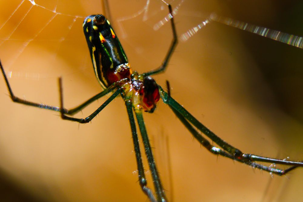 Фотография автора Cavalcante Pinheiro Filho José Flávio