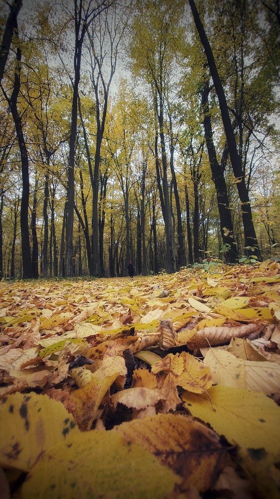 Photograph by Вячеслав