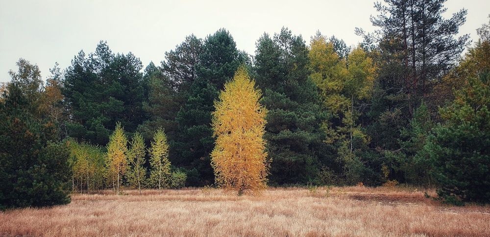 Photograph by Вячеслав