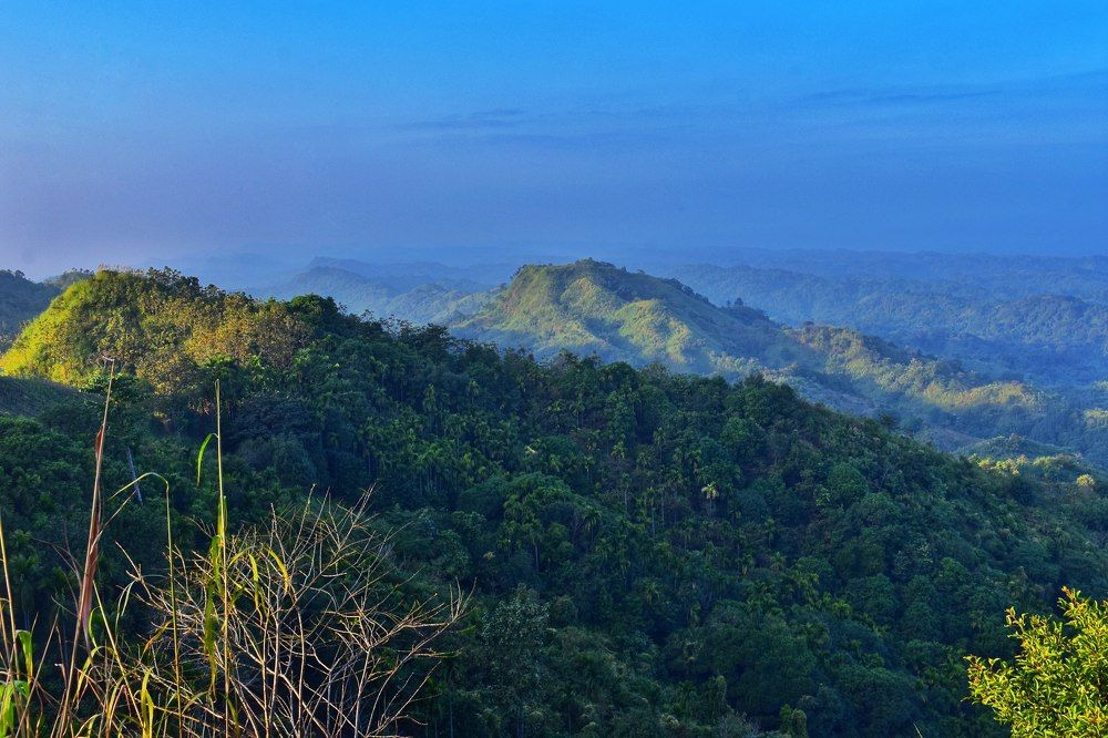 Photograph by Hasan Mehedi Amin