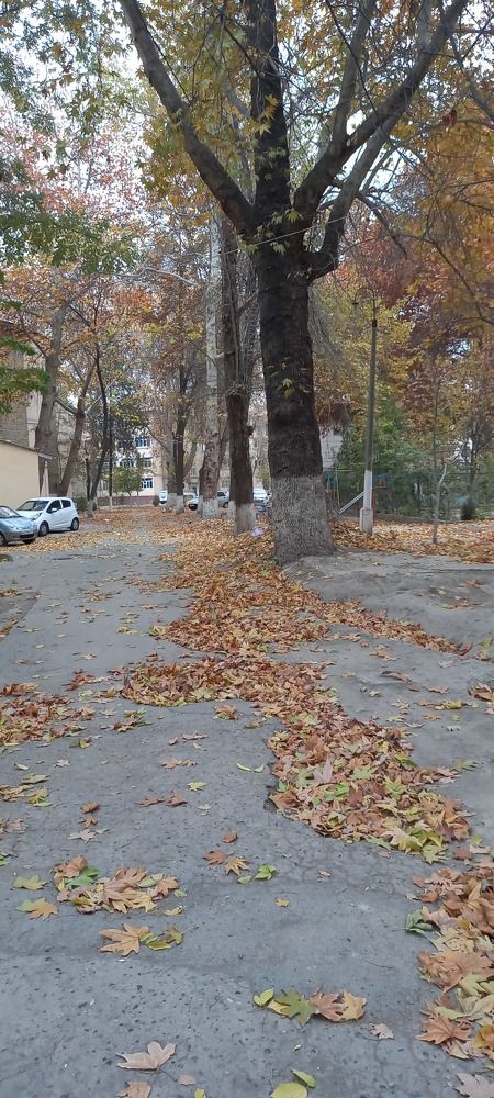 Photograph by Ахрор Холиков