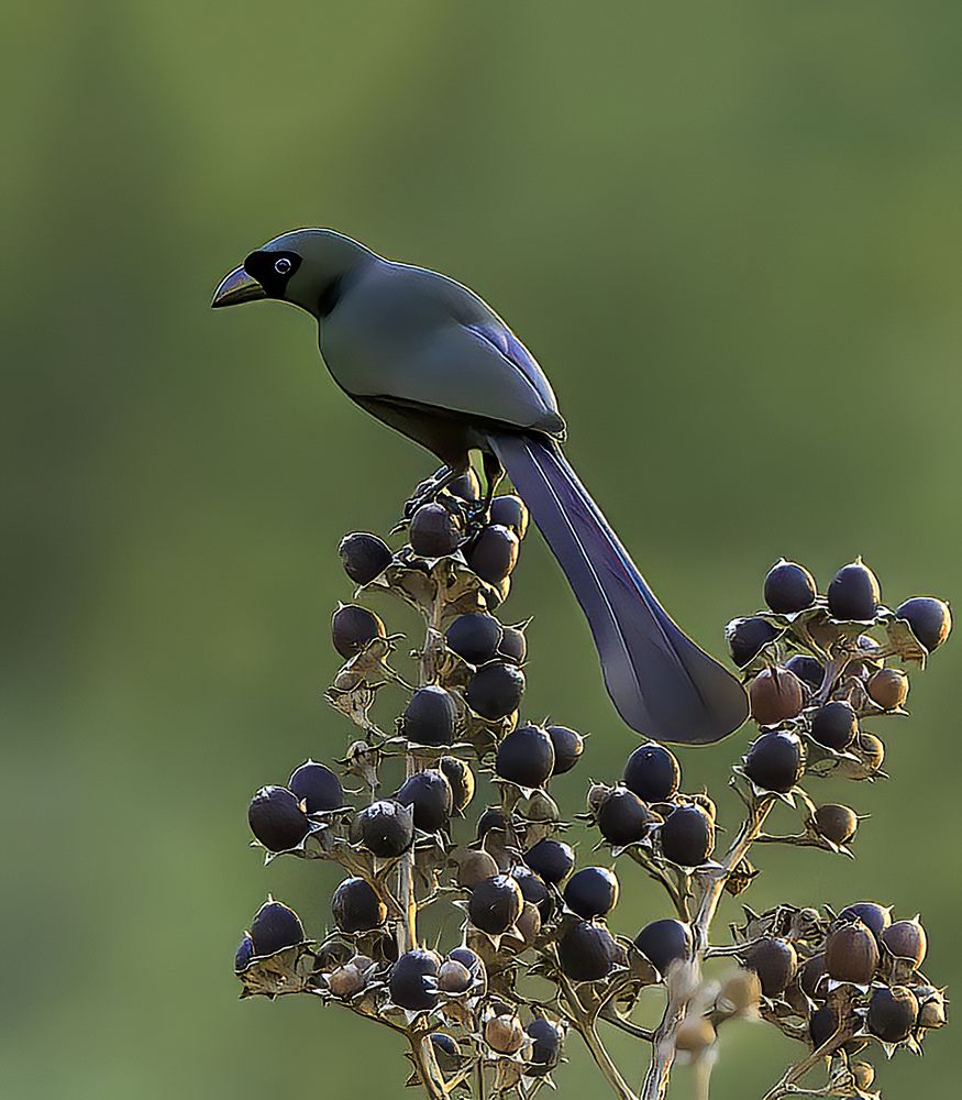 Photograph by Văn Bình Phan