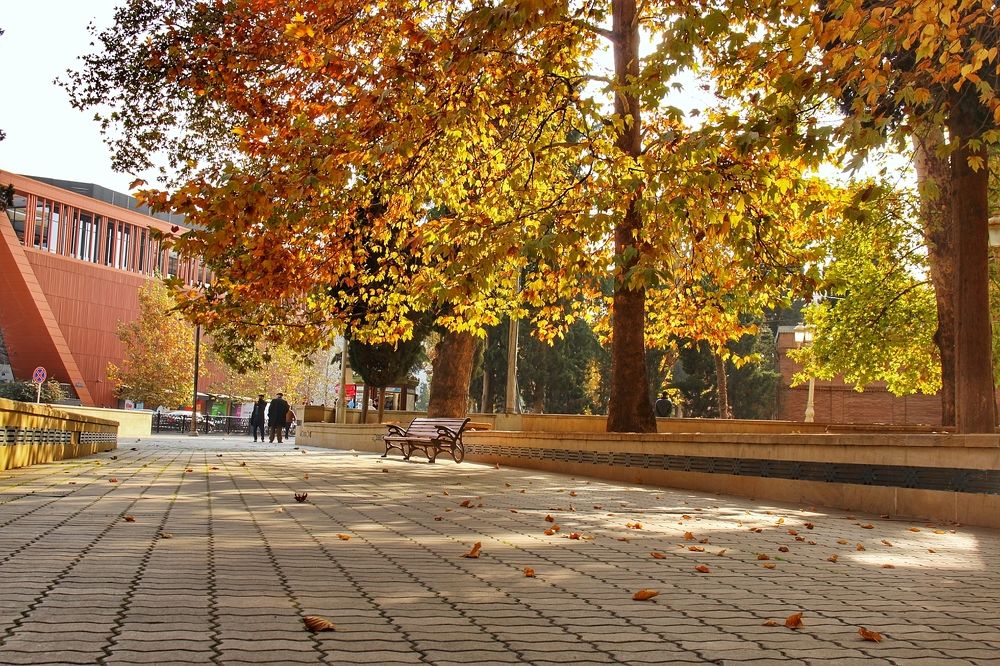 Photograph by Владимир Осипов