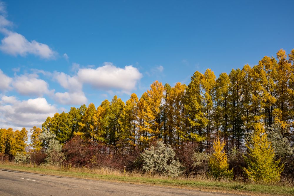 Photograph by Сергей Пашнов