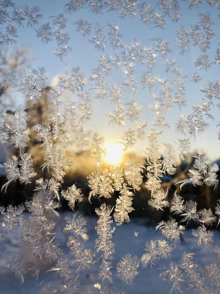 Мороз и солнце.