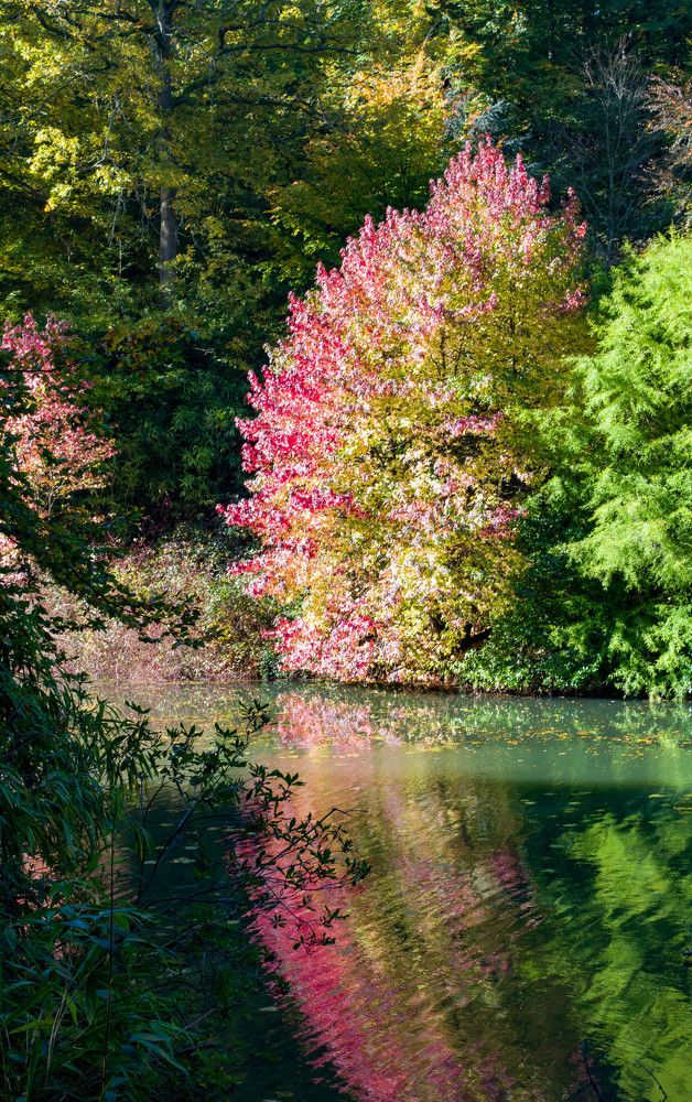 Photograph by Philippe Leten