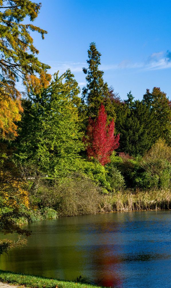 Photograph by Philippe Leten