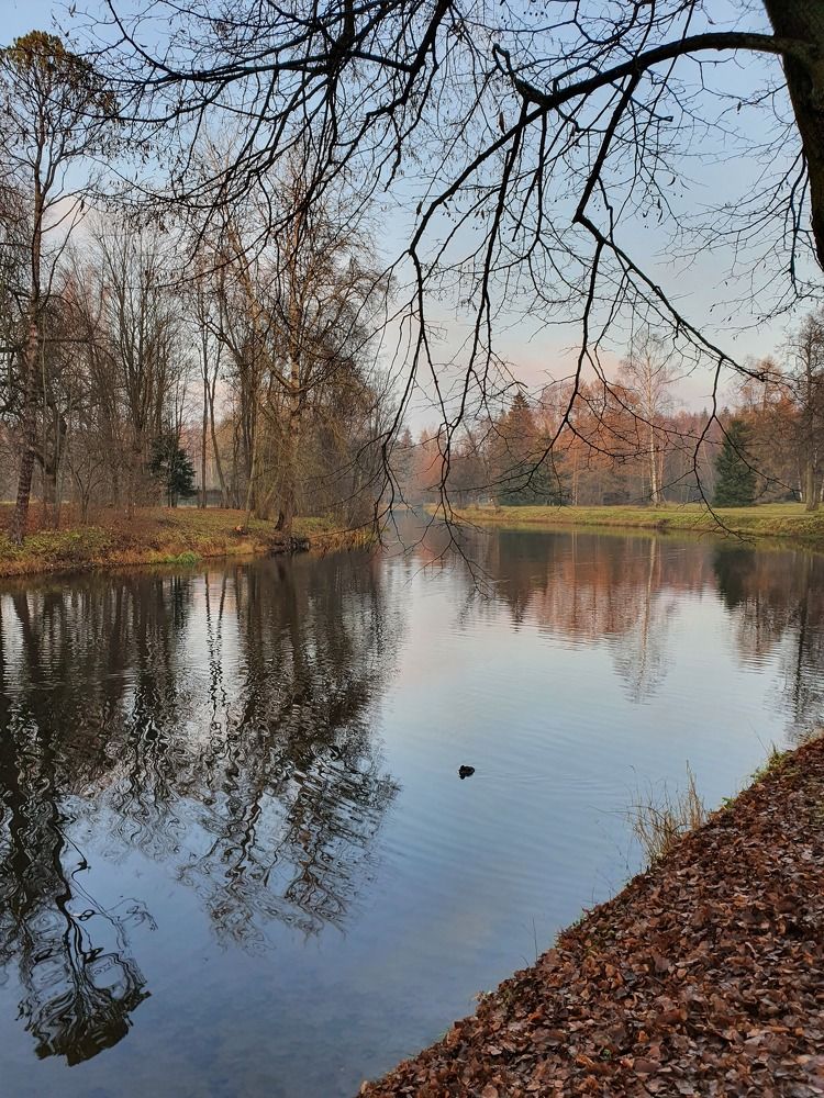 Photograph by Дьяченко Нина