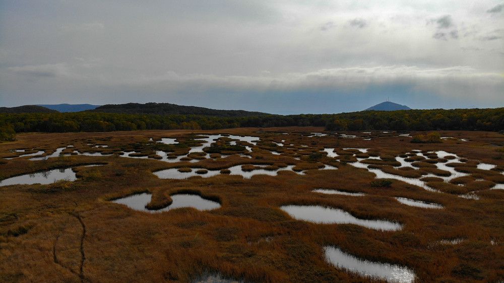 Фотография автора Ирина Копылова