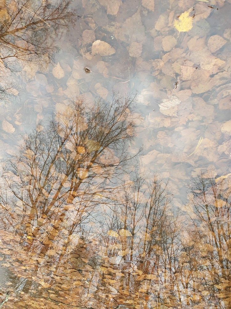 Photograph by Дьяченко Нина