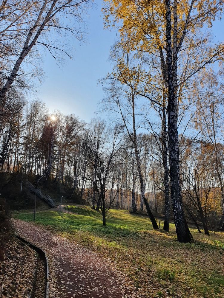 Photograph by Дьяченко Нина