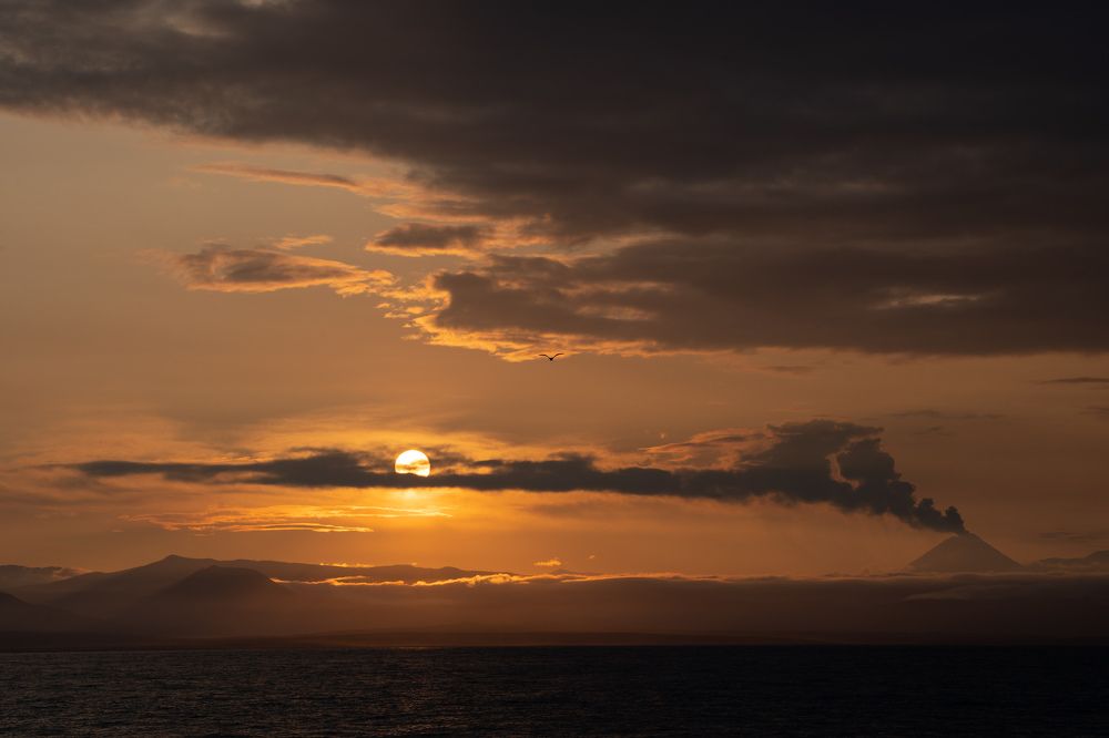 Photograph by Нина Ким