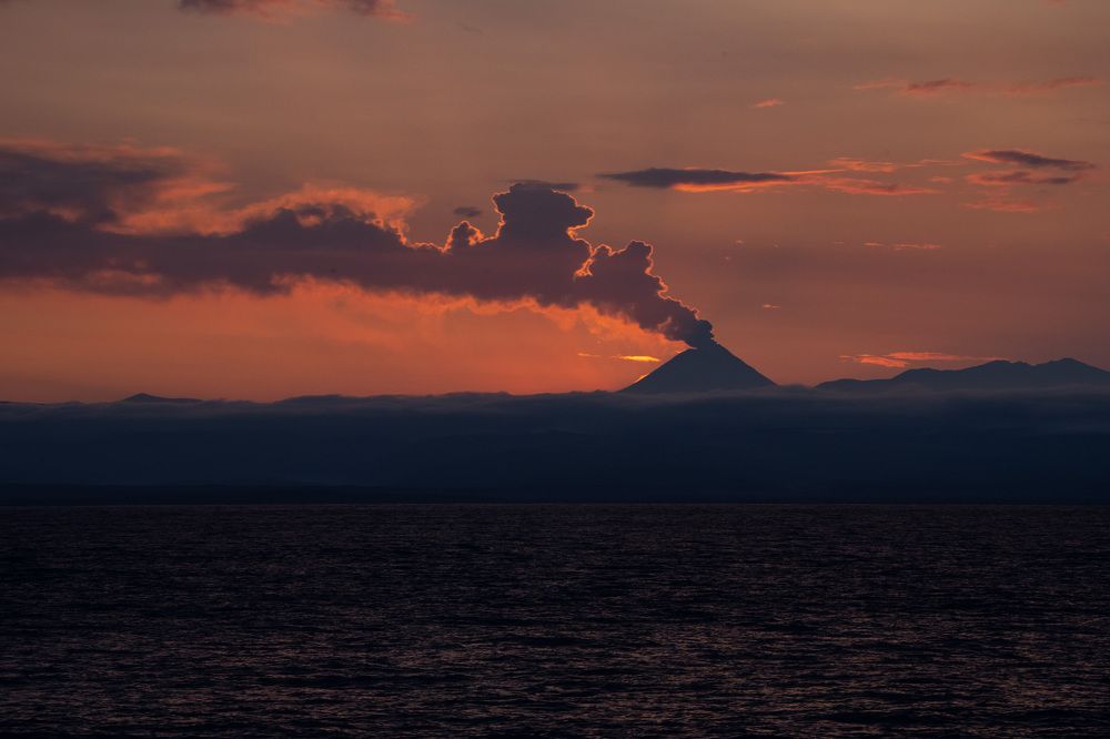 Photograph by Нина Ким