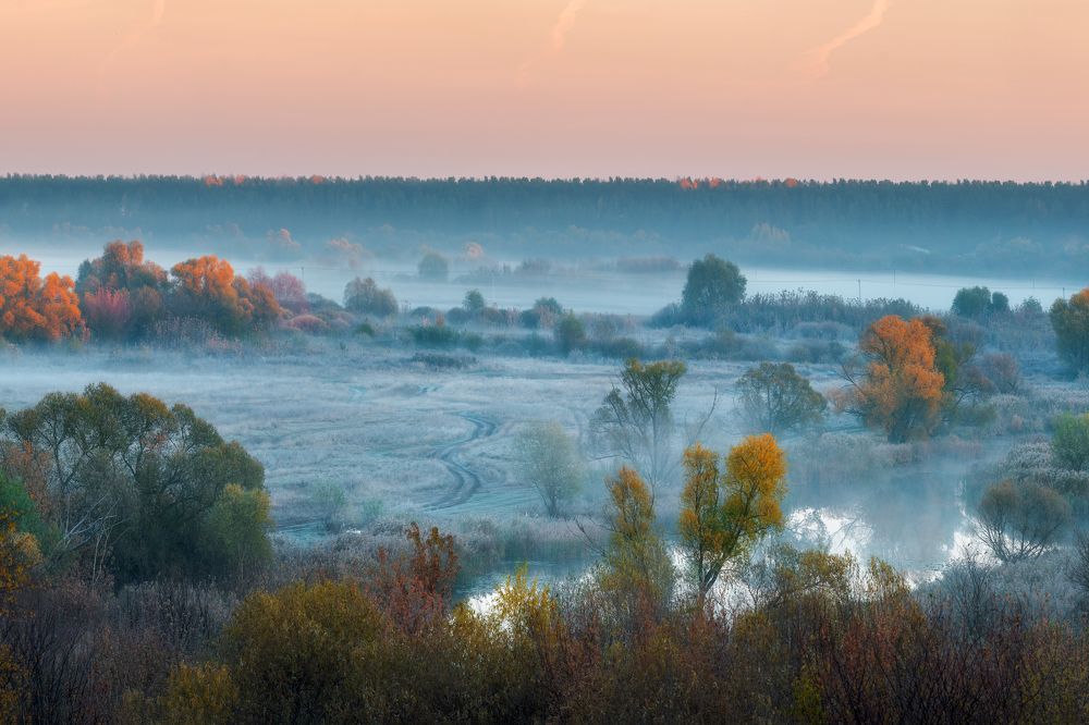 Туман на озере